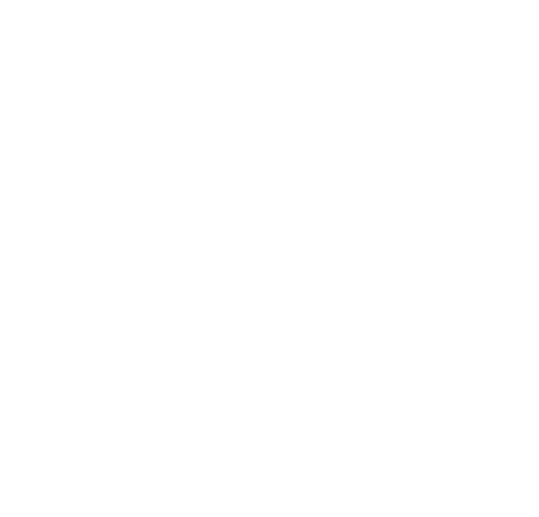 Handicap mental